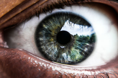 Close-up portrait of human eye