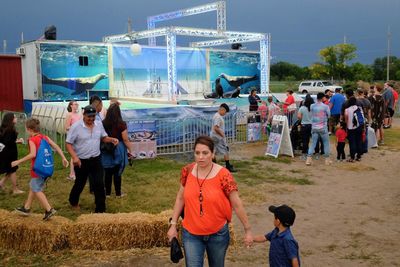 Rear view of people enjoying on land