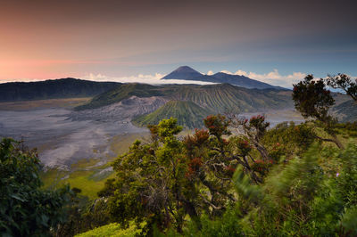 Scenic view of landscape against cloudy sky during sunset