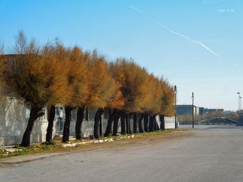 Road by trees against sky