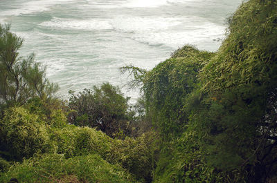 High angle view of beach