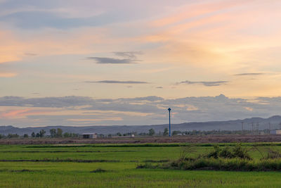 Scenic view of field against sky during sunset