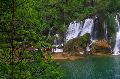 Scenic view of waterfall in forest