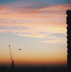 Silhouette bird flying over sea against sky during sunset