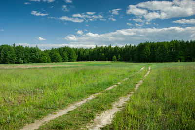 Scenic view of field against sky