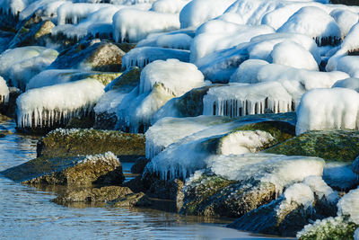 Frozen lake in forest during winter