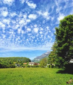 Scenic view of field against sky