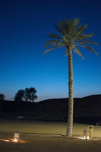 Palm trees against clear blue sky at night