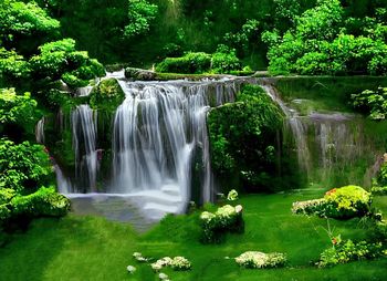 Waterfall and green garden forest 