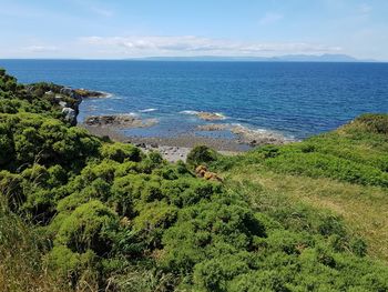 Scenic view of sea against sky