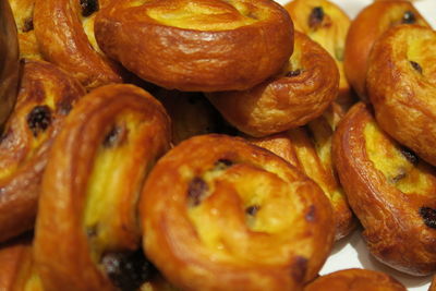 Close-up of potatoes in plate