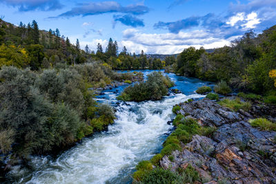 Scenic view of stream amidst trees against sky