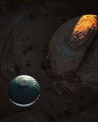 High angle view of seashell on beach