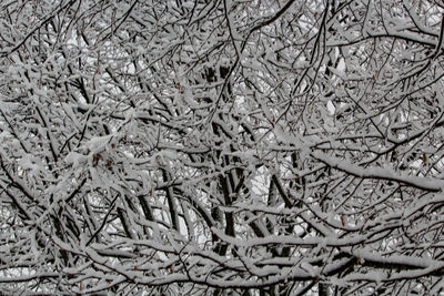 Full frame shot of snowflakes