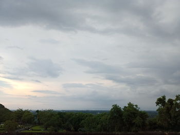 Scenic view of trees against sky