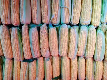 Full frame shot of corns at market stall for sale
