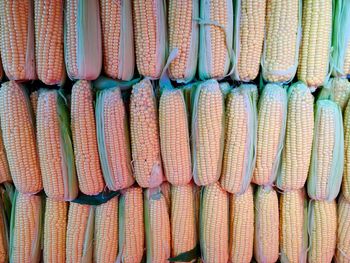 Full frame shot of multi colored candies at market stall