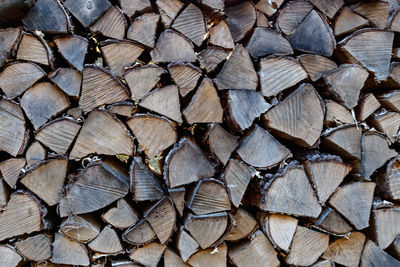 Full frame shot of logs in forest