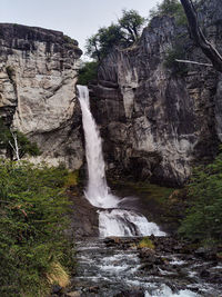 Scenic view of waterfall in forest