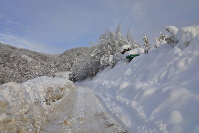Snow covered land and trees against sky