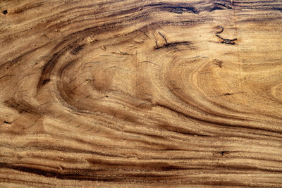 Full frame shot of tree trunk