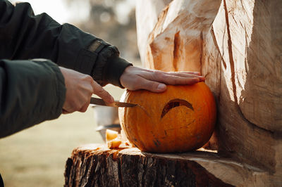 Cropped hand of man holding pumpkin