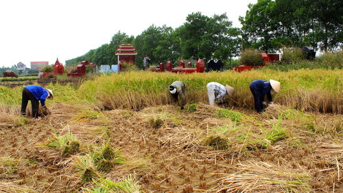 Rear view of people walking in field