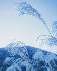 Low angle view of snow against sky