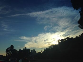 View of trees at sunset