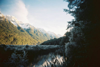 Scenic view of lake by trees against sky