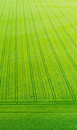 Agriculture aerial shot