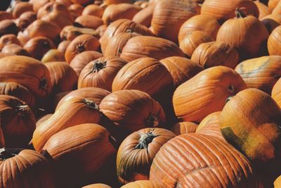 Full frame shot of pumpkins for sale in market