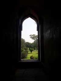 Trees and buildings seen through arch window