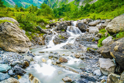 Scenic view of waterfall in forest