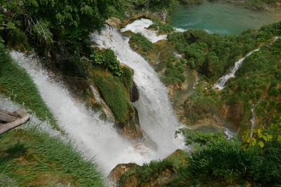 Scenic view of waterfall in forest