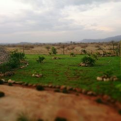 Scenic view of field against cloudy sky