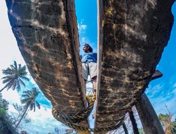 Low angle view of man standing by tree against sky