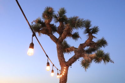 Low angle view of illuminated light against clear sky