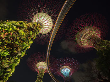 Illuminated plants against sky at night