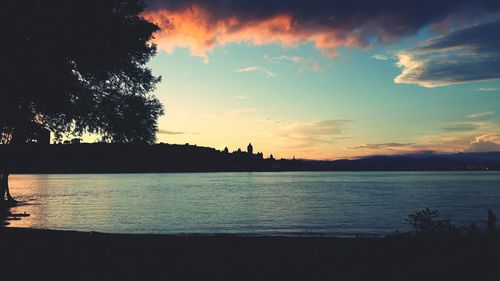 Silhouette of trees at sunset