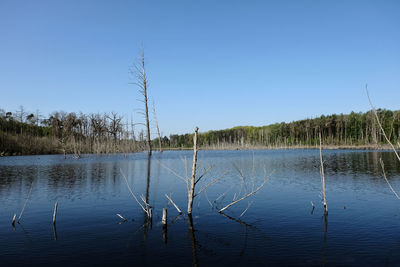 Scenic view of lake against clear blue sky