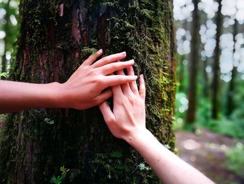 Cropped hands of woman touching tree trunk in forest
