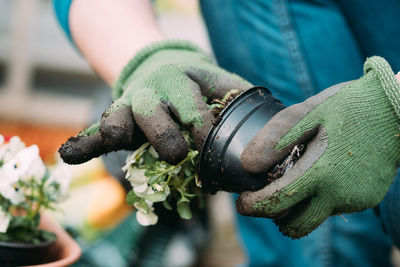 Cropped hands planting plants in pot