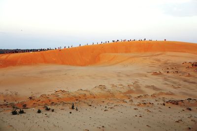 View of sand dunes in a desert