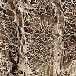 Full frame shot of textured floor