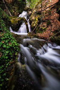 Scenic view of waterfall in forest