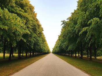 Road amidst trees against sky