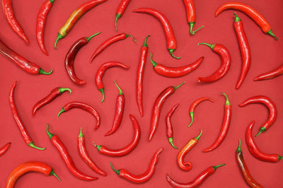 Red hot chili peppers shoot on red background