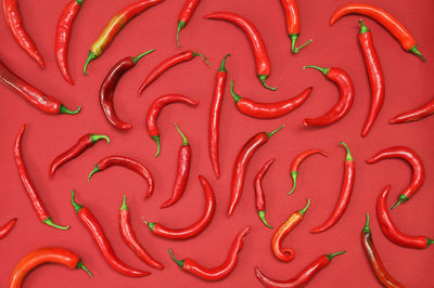 Red hot chili peppers shoot on red background