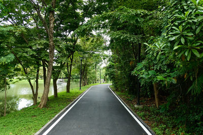 Road amidst trees in forest